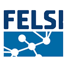 logo FELSI